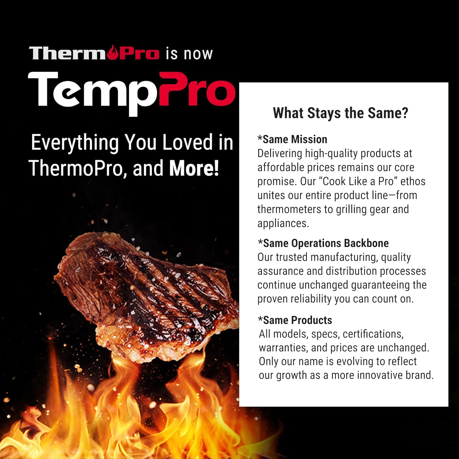 ThermoPro TP16B