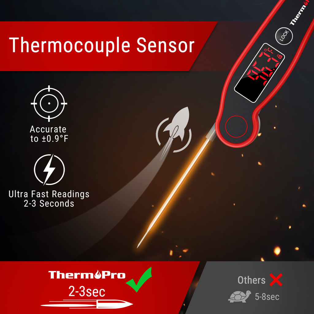 ThermoPro TP19