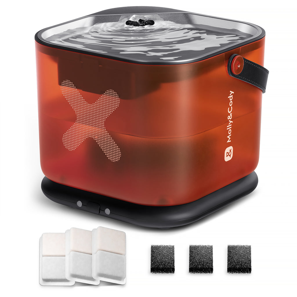 3L water fountain