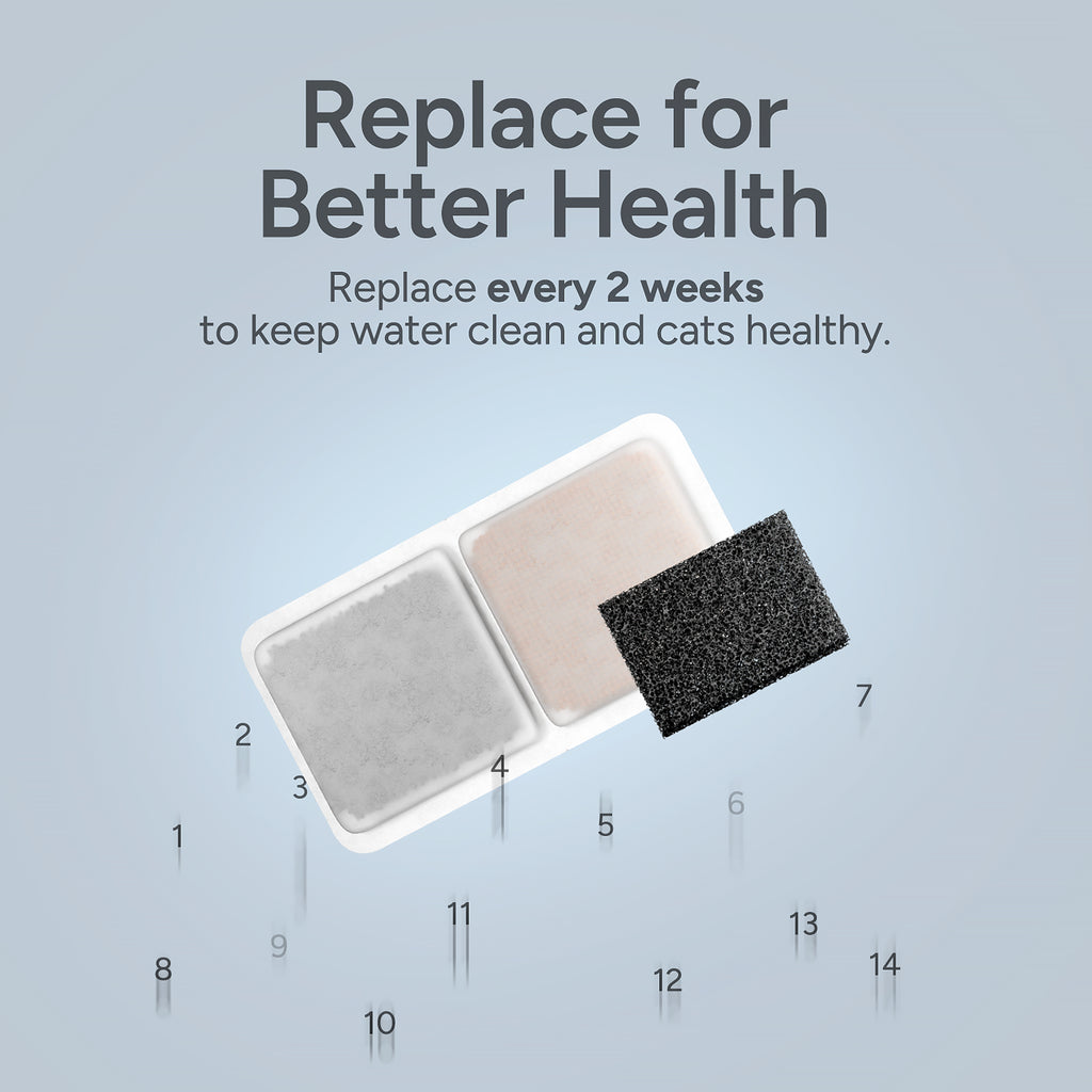 3L water fountain