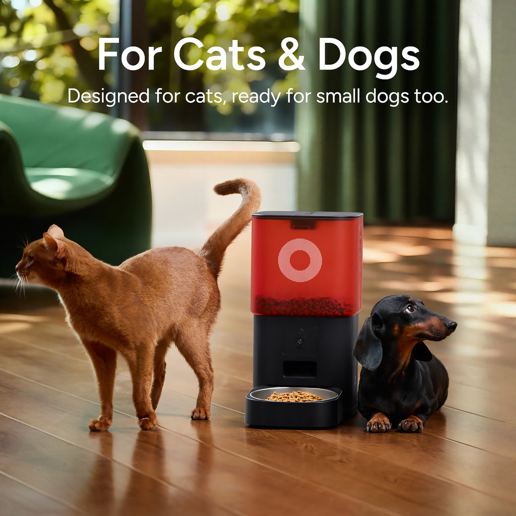Smart Feeder 6L Camera (Black)