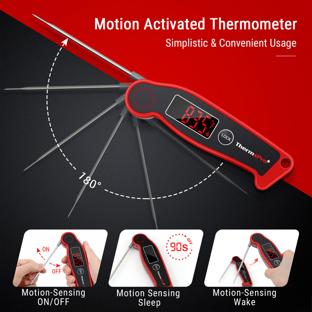 ThermoPro TP19