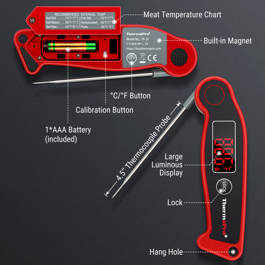 ThermoPro TP19